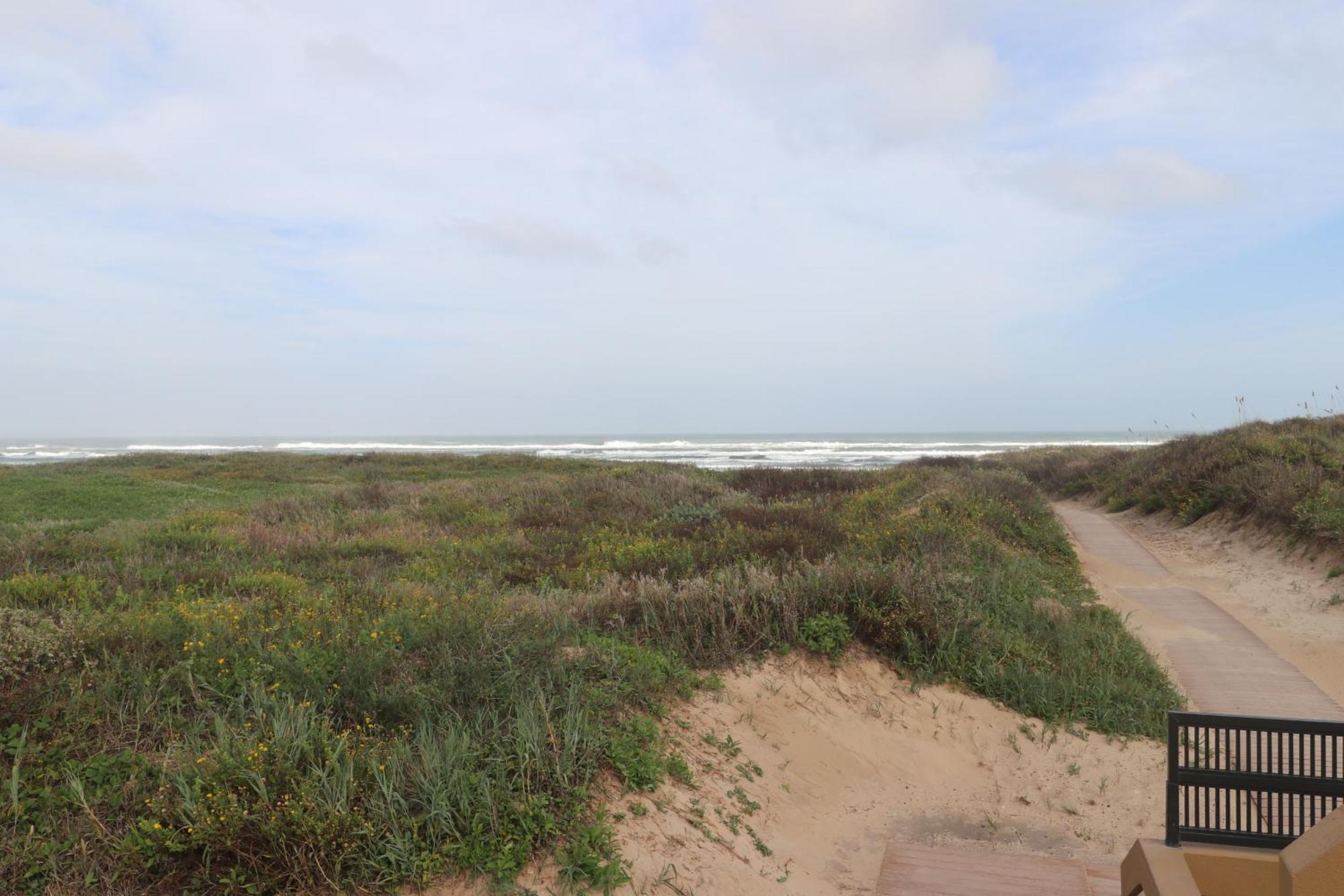 Bridgepoint Condominiums South Padre Island Eksteriør billede